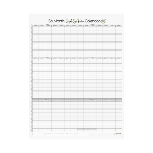 Six Month Eagle Eye View Calendar Poster - White Ruler Style